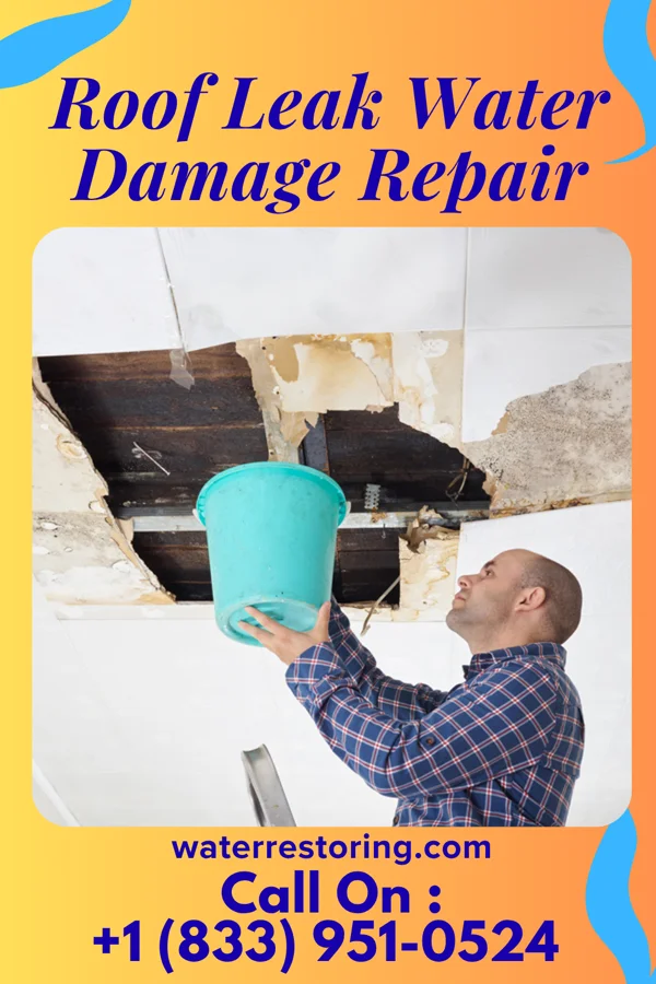 Roof Leak Water Damage Repair in Metolius, OR